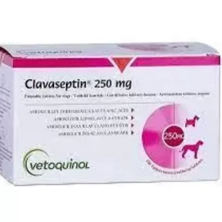 Клавасептин (Clavaseptin) 250 мг 10 табл. - 1 т./20 кг, Vetoquinol (аналог синулокс)