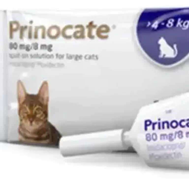 Прінокат Prinocate Large Cats краплі від бліх та кліщів для крупних кішок вагою 4-8 кг,  упаковка 3 піпетка 0,8 мл