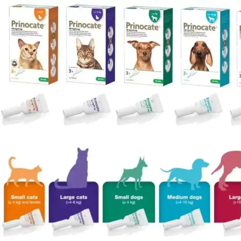 Прінокат Prinocate Large Cats краплі від бліх та кліщів для крупних кішок вагою 4-8 кг,  упаковка 3 піпетка 0,8 мл