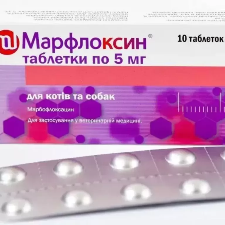 Марфлоксин Marfloxin таблетки для собак та кішок від бактерій, 10 таблеток, 5 мг