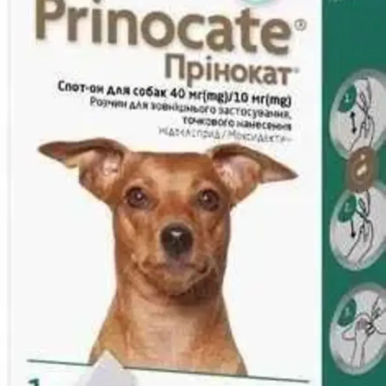 Прінокат Prinocate Small Cat краплі проти кліщів та бліх для собак до 4  кг,  три піпетки по 0,4 мл