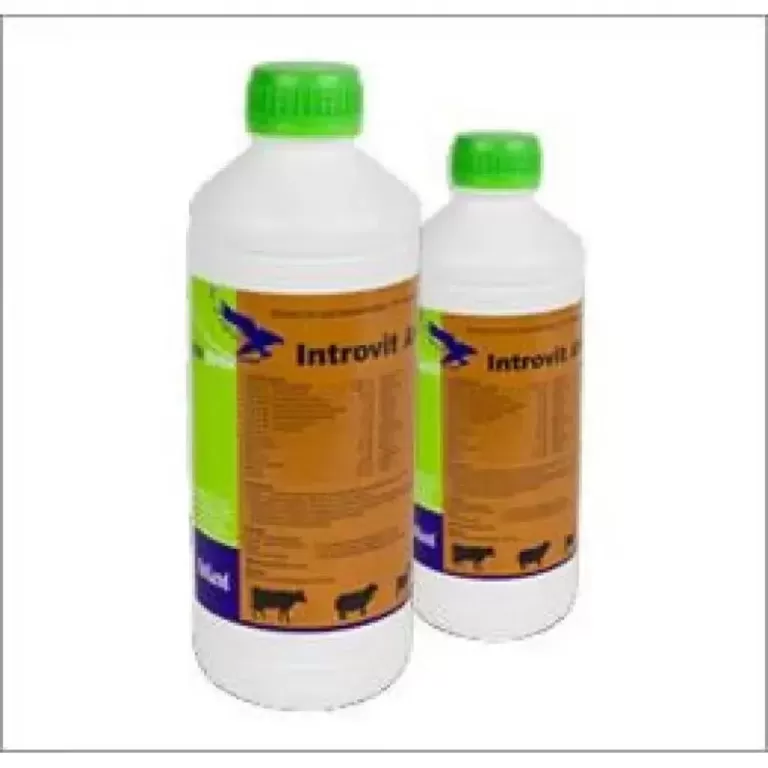 Интровит А + Орал, 1 л, Interchemie