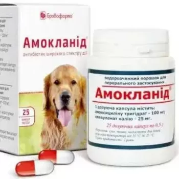 Антибіотик Амокланід для лікування захворювань ШКТ, сечовивідних шляхів та органів дихання, 25 капсул по 0.5 гр