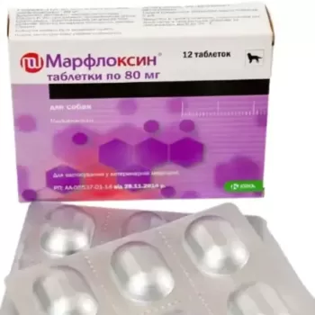 Марфлоксин Marfloxin таблетки для собак та кішок від бактерій, 12 таблеток, 80 мг
