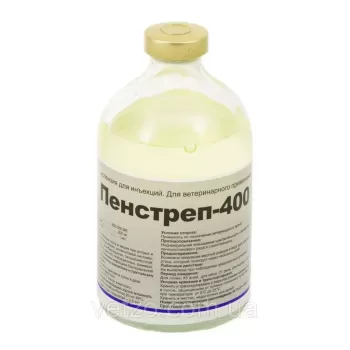Пенстреп – 400, 100 мл, Interchemie