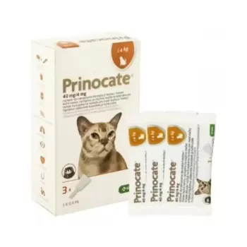 Прінокат Prinocate Small Cat краплі проти бліх та кліщів для кішок та тхорів до 4 кг, 3 піпетки по 0,4 мл