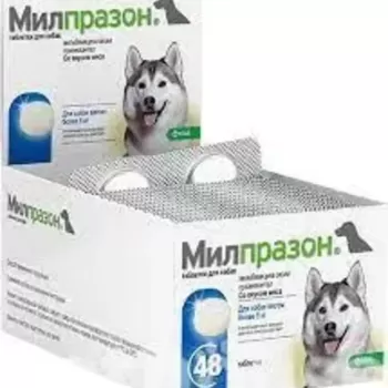 Антигельмінтик Мілпразон для собак 5–25 кг, 4 табл