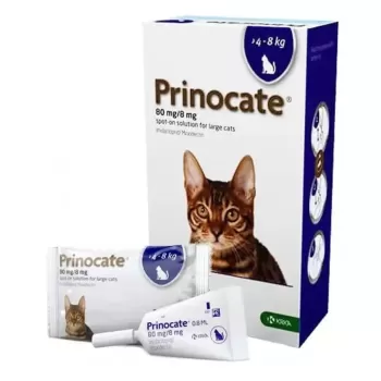 Прінокат Prinocate Large Cats краплі від бліх та кліщів для крупних кішок вагою 4-8 кг,  упаковка 3 піпетка 0,8 мл